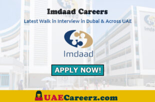 Imdaad Careers