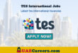 TES International Jobs